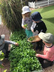 Montessori children gardening